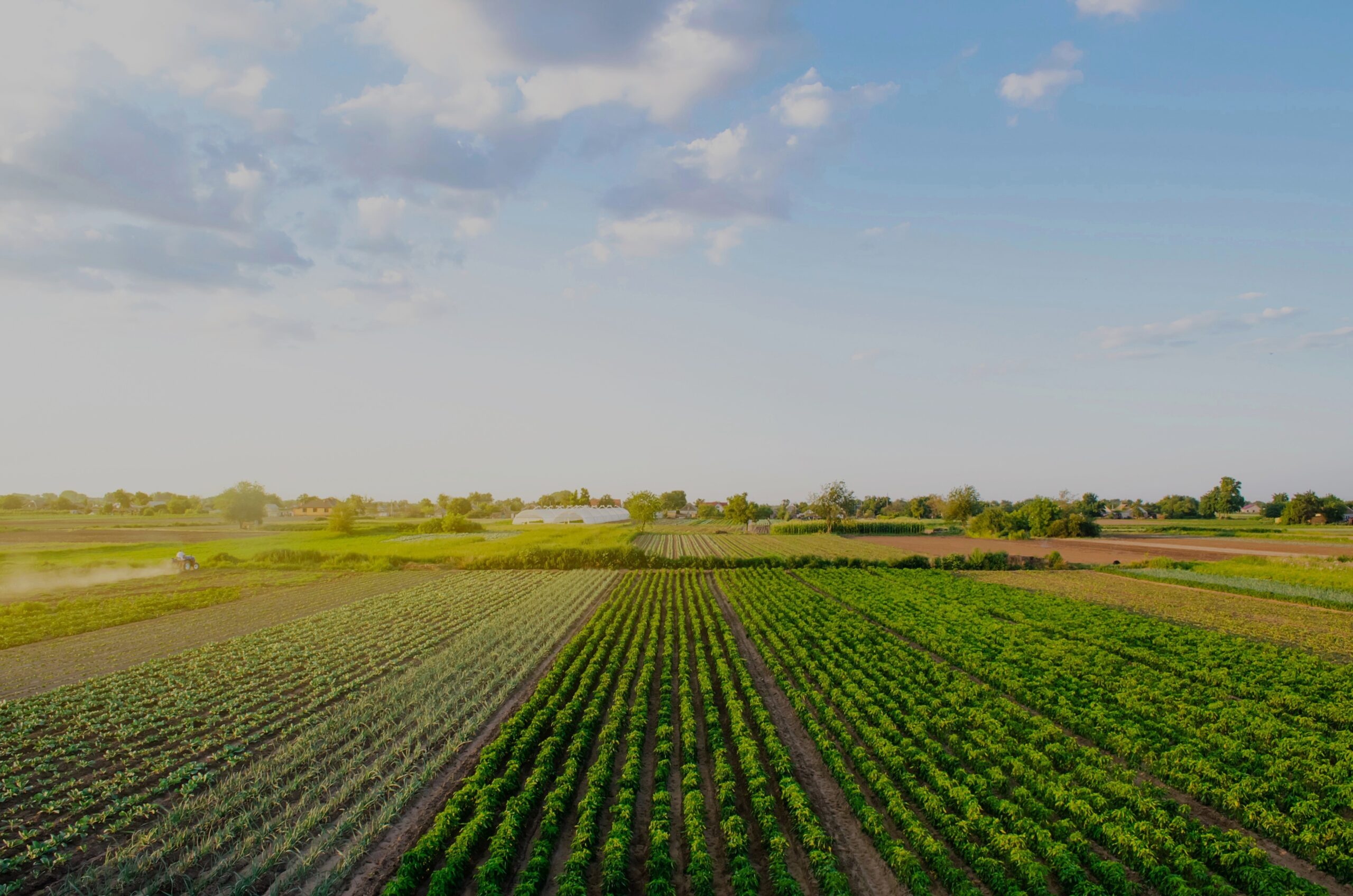 Campo agr&iacute;cola verde bajo cielo abierto